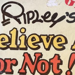 Ripley’s Believe It or Not: Framed COVER from his GIANT 1976 paperback. Makes a cool poster. 16” by 13 1/4” around the frame. Free shipping.