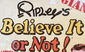 Ripley’s Believe It or Not: Framed COVER from his GIANT 1976 paperback. Makes a cool poster. 16” by 13 1/4” around the frame. Free shipping.