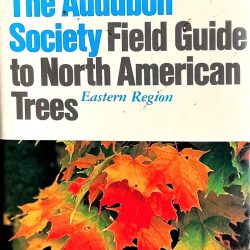 Field Guide to North American Trees. Eastern Region. The Audubon Society. 714 pages. Alfred A. Knopf, New York. VG condition.Free shipping.
