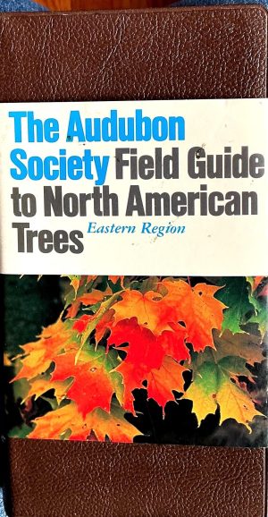 Field Guide to North American Trees. Eastern Region. The Audubon Society. 714 pages. Alfred A. Knopf, New York. VG condition.Free shipping.