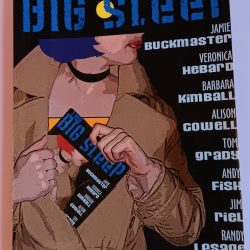 The Big Sleep Graphic Novel: Autographed Undercover Fish Group, 2006. Free shipping.